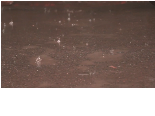 video screenshot
