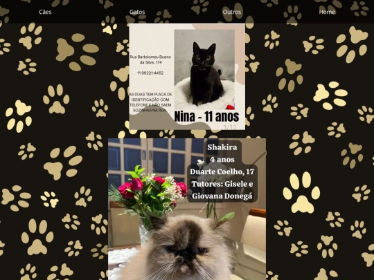 gatos screenshot