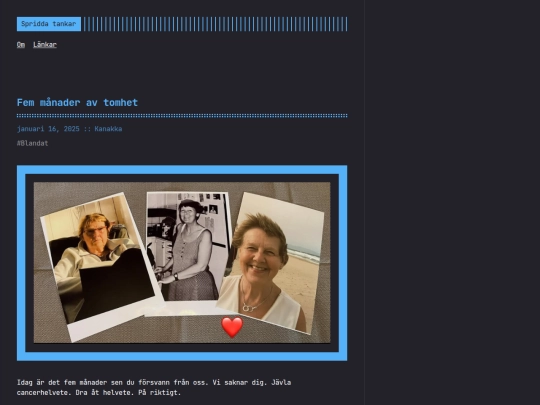 fem-manader-av-tomhet screenshot