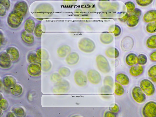 diatoms screenshot