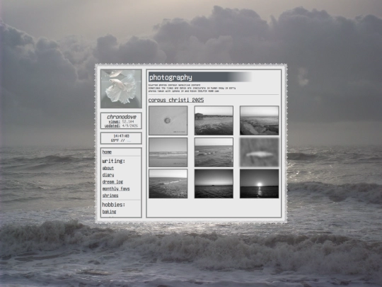 photography screenshot
