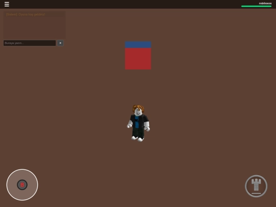 rbx screenshot