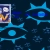 The web site of blueeyes avatar