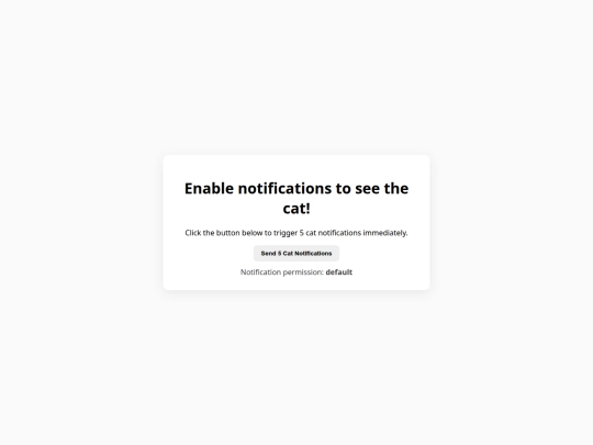 catsquaer screenshot