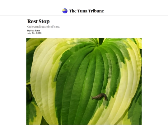 news/reststop screenshot