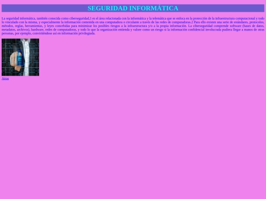 proyecto1/seguridadinf screenshot