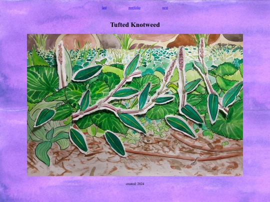 tufted-knotweed screenshot