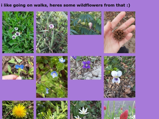 weeds screenshot