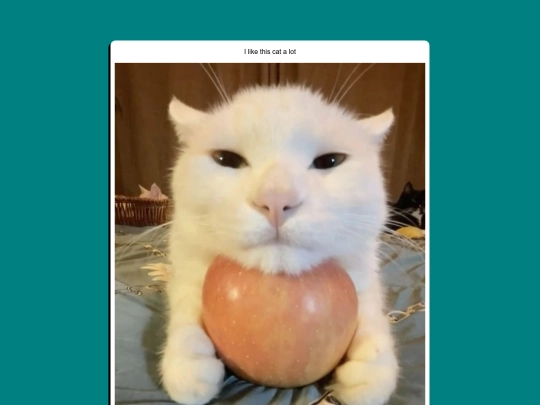blog/posts/post4 screenshot