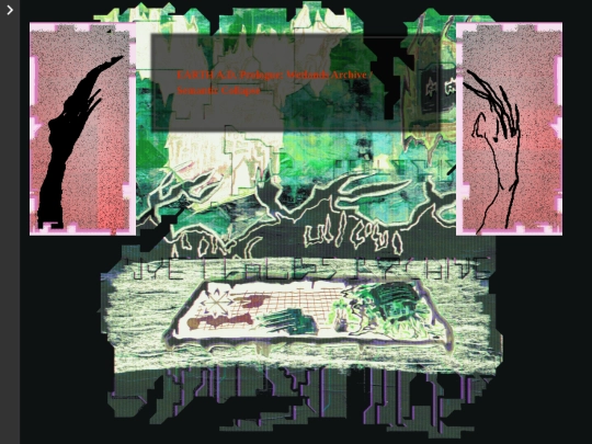 research/2022/Wetlands_Archive/Wetlands_37 screenshot