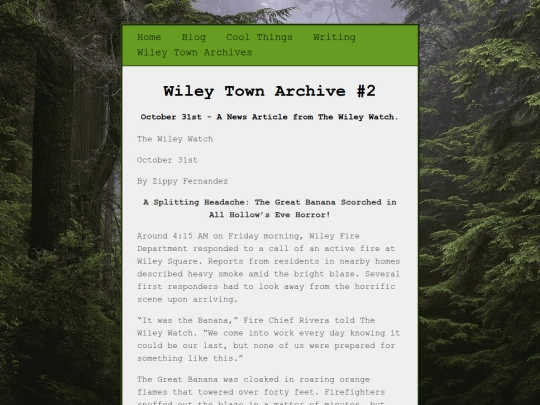 wiley_town/entry2 screenshot