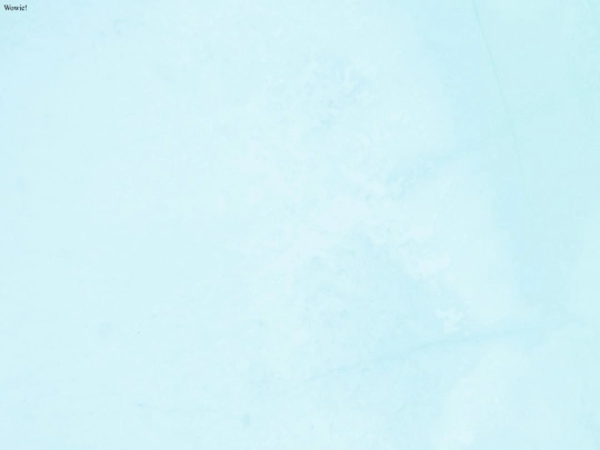 test screenshot