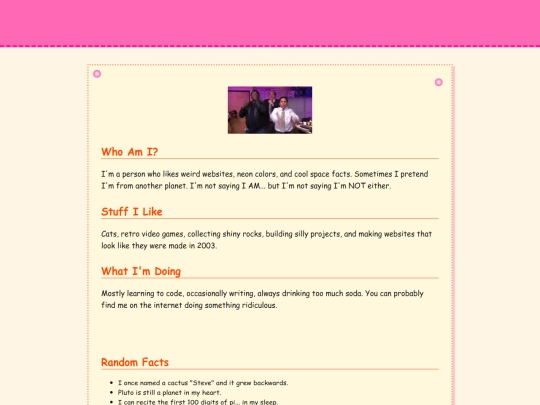 dingusfun screenshot