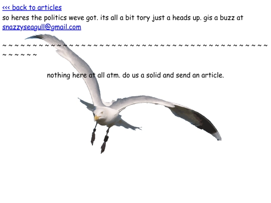 politics screenshot