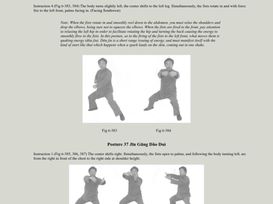 instruct/CXW38Form/CXW38Form-pg-120 screenshot