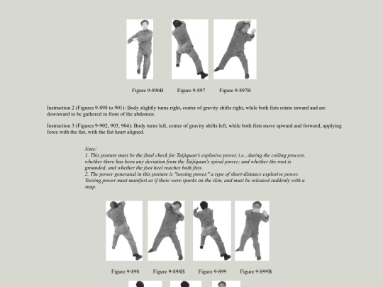 instruct/CXWXinJiaYiLu/pg_382 screenshot