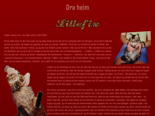 lillefix screenshot