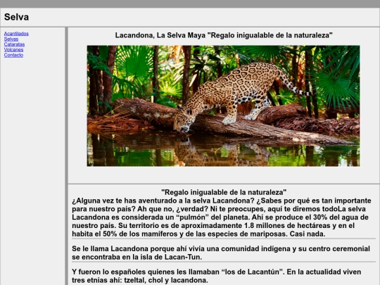 PROYECTO_MENU_2/selva2 screenshot