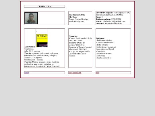 hmtl/tabla de curriculum screenshot