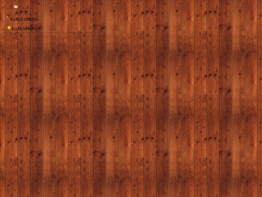 gallery screenshot