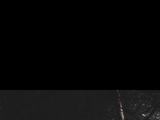Toolate screenshot