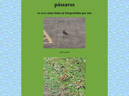 passaros screenshot