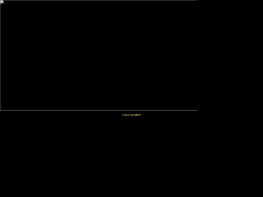 photos/zoom screenshot