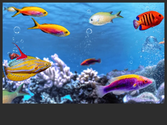 image-map-demo/ocean screenshot