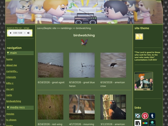 birdwatching screenshot