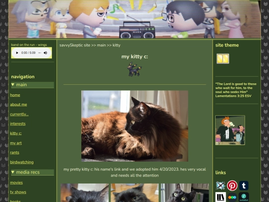 kitty screenshot