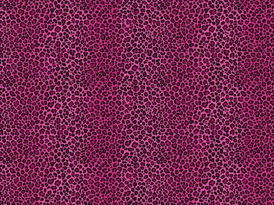 zines screenshot