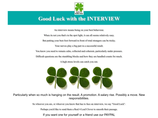 interview screenshot