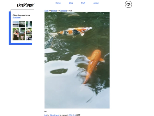 stuff/photos/portland/koi screenshot
