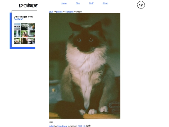stuff/photos/portland/pidge screenshot
