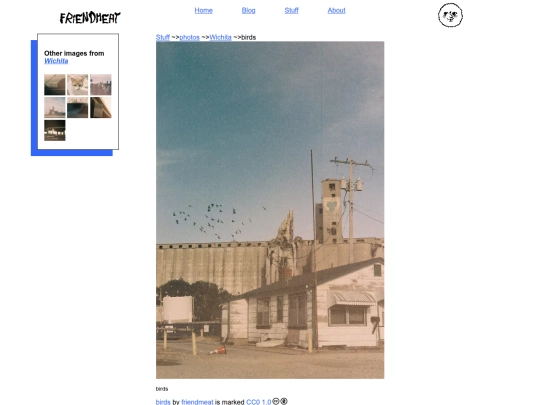 stuff/photos/wichita/birds screenshot