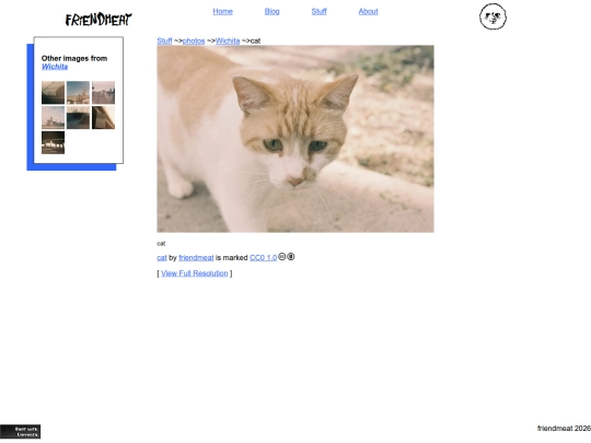 stuff/photos/wichita/cat screenshot