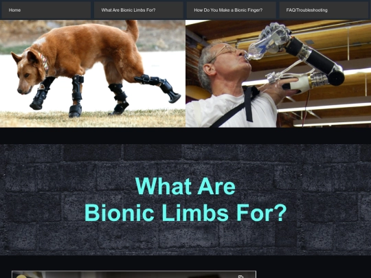 WhatAreBionicLimbsFor screenshot