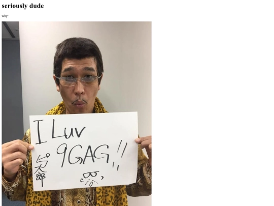 ppap screenshot