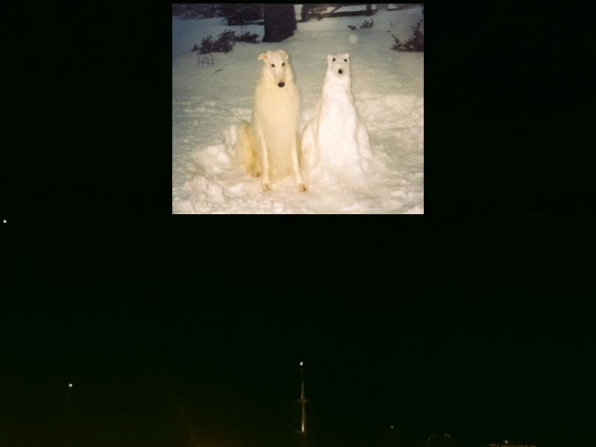 snowdog screenshot