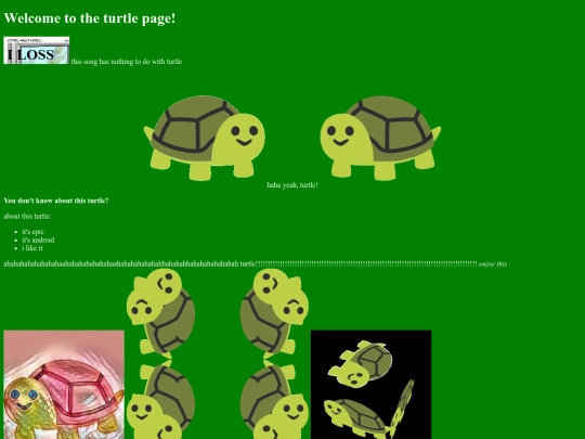 turtle screenshot