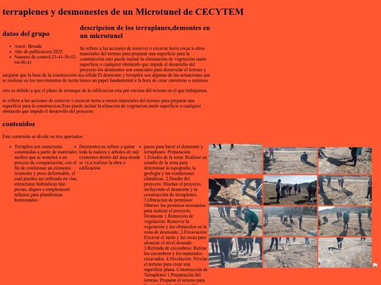 Pginawebdemicrotnel screenshot
