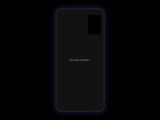 videollamada screenshot