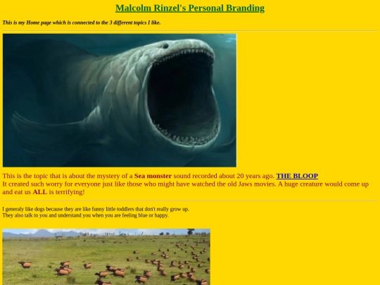 Personalbranding/pBrandingMR/homePgMR03 screenshot