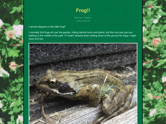 bugblog/2022/summer/frogs/frog screenshot