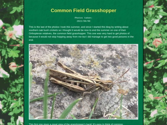 bugblog/2022/summer/grasshopper/grasshopper screenshot