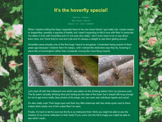 bugblog/2022/summer/hoverflies/hoverflies screenshot