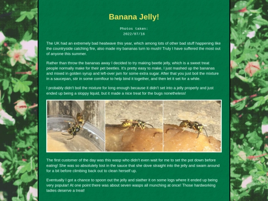 bugblog/2022/summer/jelly/jelly screenshot