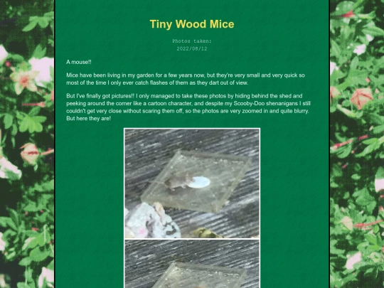 bugblog/2022/summer/mice/mice screenshot