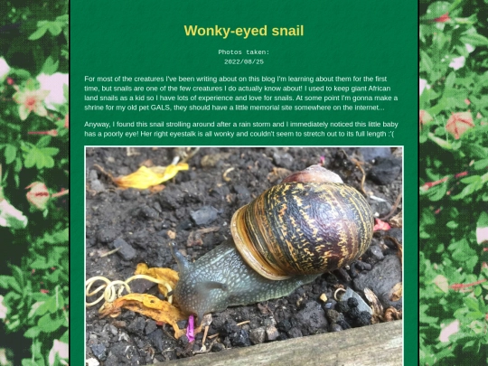 bugblog/2022/summer/snail/wonkysnail screenshot
