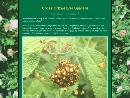 bugblog/2023/autumn/crossorb/crossorb screenshot